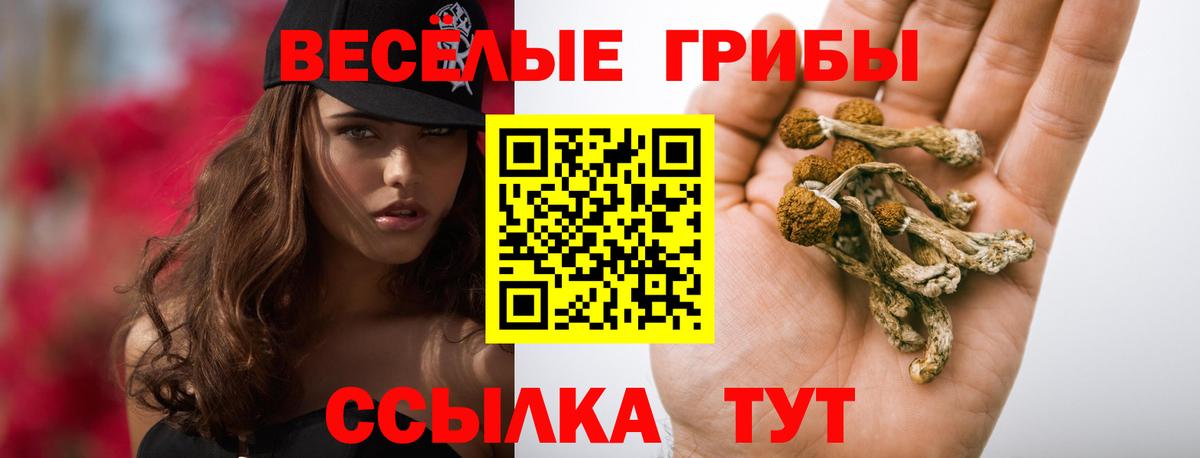 Псилоцибиновые грибы GOLDEN TEACHER Котельники